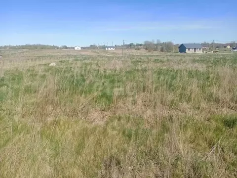 Участок в Калининградская область, Зеленоградский муниципальный округ, ...