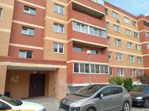 Студия Московская область, Щелково городской округ, д. Большие ...