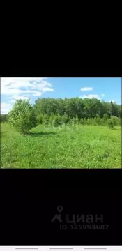 Участок в Псковская область, Печорский муниципальный округ, д. ...