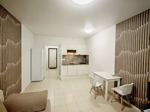 Студия Московская область, Старая Купавна Богородский городской округ, ...