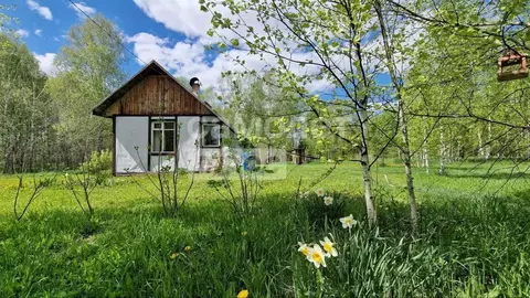 Участок в Томская область, Томский район, Солнечная поляна ДНТ  (97.0 ...