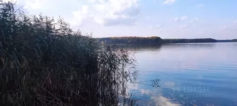 Участок в Московская область, Мытищи городской округ, д. Большое ...
