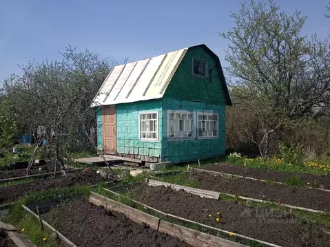 Дом в Вологодская область, Сокол Бережок садовое товарищество,  (25 м)
