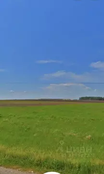 Участок в Тульская область, Веневский муниципальный округ, д. Залесово ...