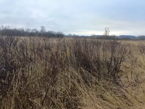 Участок в Московская область, Ступино городской округ, с. Большое ...