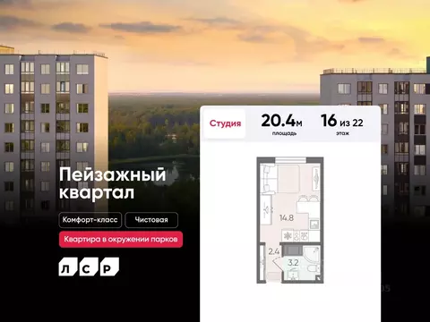 Студия Санкт-Петербург дор. Муринская, 35к3 (20.4 м)