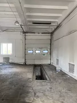 Помещение свободного назначения в Брянская область, Брянск ул. ...