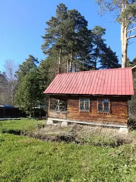 Участок в Свердловская область, Екатеринбург Жулановское СНТ, 95 ...