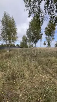 Участок в Владимирская область, Муром д. Березовка,  (13.0 сот.)