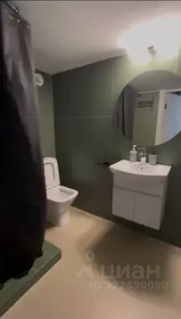 Студия Санкт-Петербург ул. Чехова, 4Б (18.0 м)