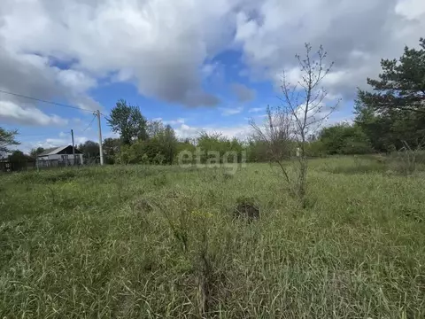 Участок в Воронежская область, Рамонский район, Новоживотинновское ...