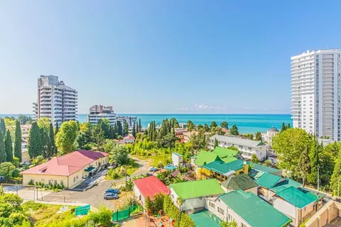 2-к кв. Краснодарский край, Сочи Светлана мкр, ул. Гагринская, 10 ...