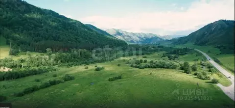 Участок в Алтай, Шебалинский район, с. Мыюта Российская ул. (11.1 ...