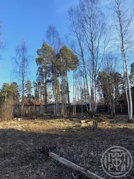 Участок в Ленинградская область, Гатчинский муниципальный округ, ...