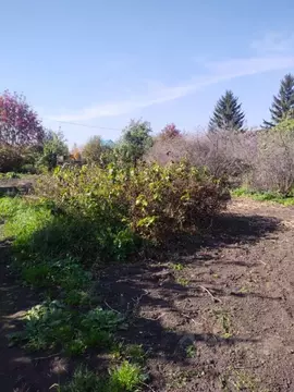 Участок в Омская область, Омск СОСН Монтажник тер., аллея 3-я (10.0 ...