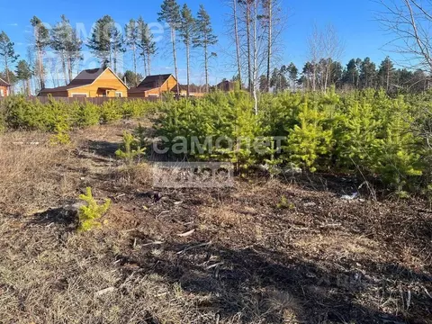 Участок в Забайкальский край, Читинский район, с. Смоленка, ...