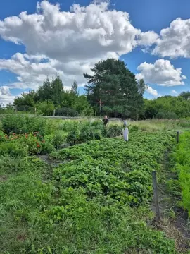 Дом в Ульяновская область, Майнский район, Игнатовское городское ...