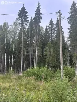 Участок в Сыктывкар, улица 10-я Линия (12.74 м)