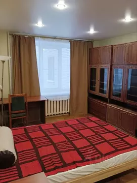 2-к кв. Санкт-Петербург ул. Пилотов, 17 (45.0 м)