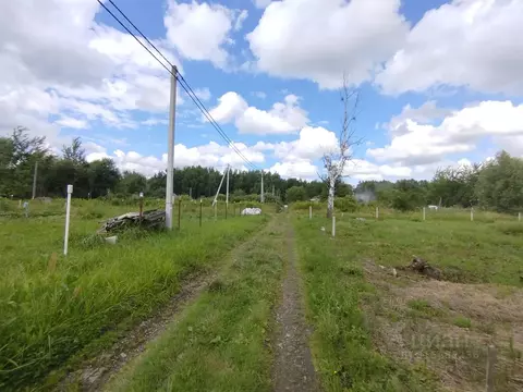 Участок в Калининградская область, Калининград Балтиец СНТ, проезд ...