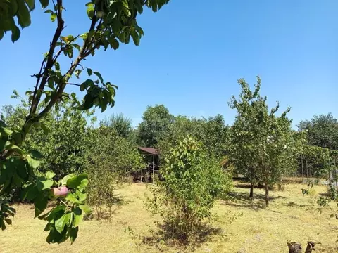 Участок в Адыгея, Майкоп Звезда СНТ, ул. Архитектурная (3.5 сот.)