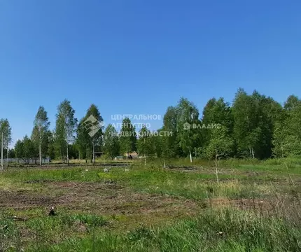 Участок в Рязанская область, Рязанский муниципальный округ, с. ...