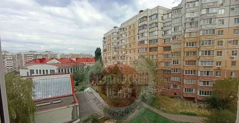 3-к кв. Белгородская область, Белгород ул. Буденного, 14б (71.5 м)