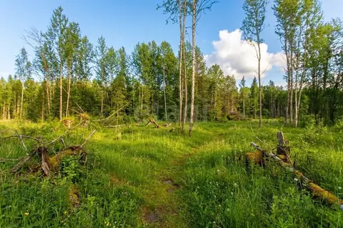 Участок в Тюменская область, Тобольск Микрорайон усадьба,  (10.0 сот.)