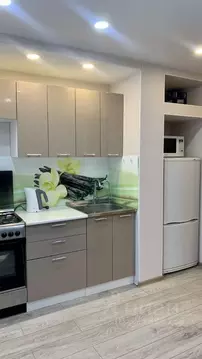 2-к кв. Санкт-Петербург бул. Новаторов, 80 (42.5 м)