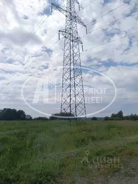 Участок в Пермский край, Кунгурский муниципальный округ, д. Шарташи ...
