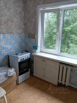 3-к кв. Алтайский край, Бийск пер. Владимира Мартьянова, 61 (59.0 м)