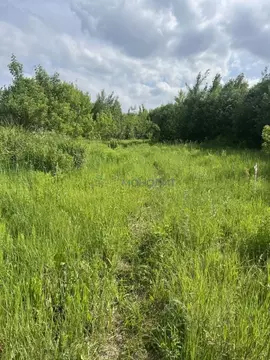 Участок в Нижегородская область, Нижний Новгород Подновье сл.,  (8.0 ...