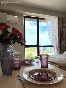 Квартира-студия: Сочи, Курортный проспект, 96Гк1 (19 м)