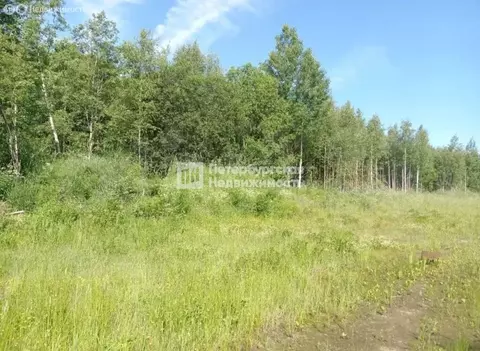 Участок в посёлок Щеглово, ДНП Малый Петербург (12 м)