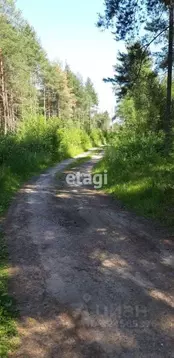 Участок в Ленинградская область, Кировский район, пос. Мга ул. ...