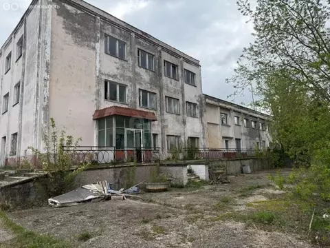 Производственное помещение (1256.3 м)