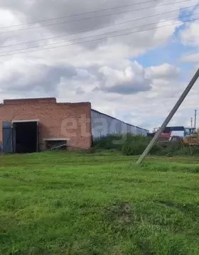 Склад в Новосибирская область, Колыванский район, Нива СНТ ул. ...