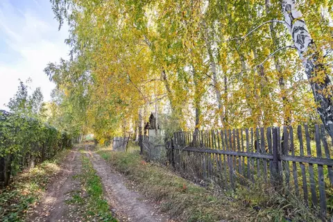 Участок в Новосибирская область, Бердск Ива СНТ, ул. 15-я, 31 (7.7 ...