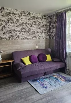 1-к кв. Карелия, Петрозаводск Лососинское ш., 21к9 (26.0 м)