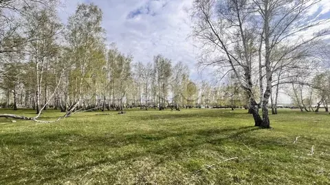 Участок в Новосибирская область, Новосибирский район, Ярковский ...