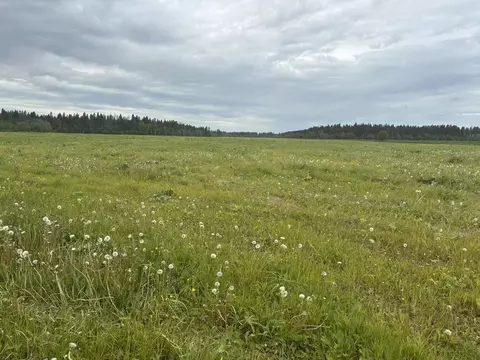 Участок в Ленинградская область, Волосовский район, Клопицкое с/пос, ...