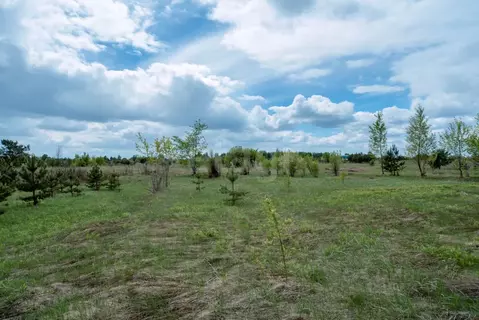 Участок в Алтайский край, Бийский район, Зверовод СДТ ул. Вишневая, ...