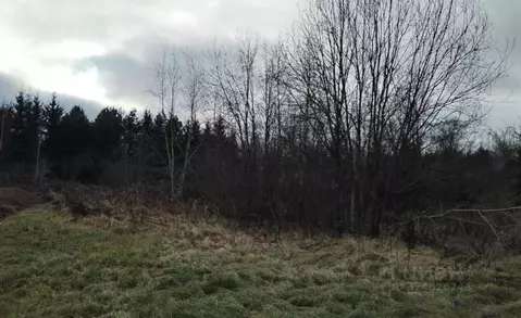 Участок в Московская область, Дмитровский муниципальный округ, д. ...