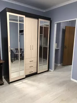 Студия Санкт-Петербург просп. Энтузиастов, 35 (27.0 м)