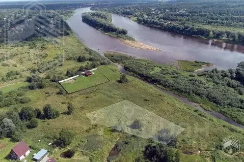 Участок в Новгородская область, Новгородский район, Савинское с/пос, ...