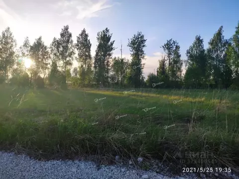 Участок в Тульская область, Тула городской округ, д. Кудрино  (14.15 ...