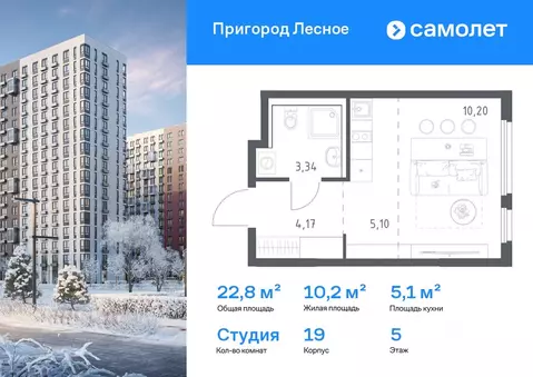Студия Московская область, Ленинский городской округ, Мисайлово пгт, ...