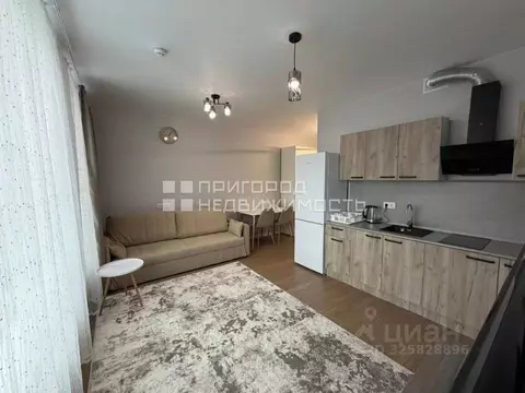 Студия Московская область, Ленинский городской округ, Мисайлово пгт, ...