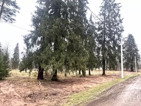 Участок в Ленинградская область, Гатчинский муниципальный округ, ...