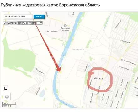 Участок в Воронежская область, Рамонский район, с. Новоживотинное  ...